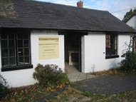 Branch Image